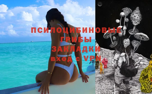скорость mdpv Каменка