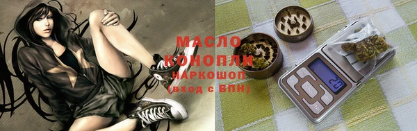 СК Каменногорск